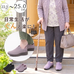 ����g�킸�ɗ�����V���[�Y